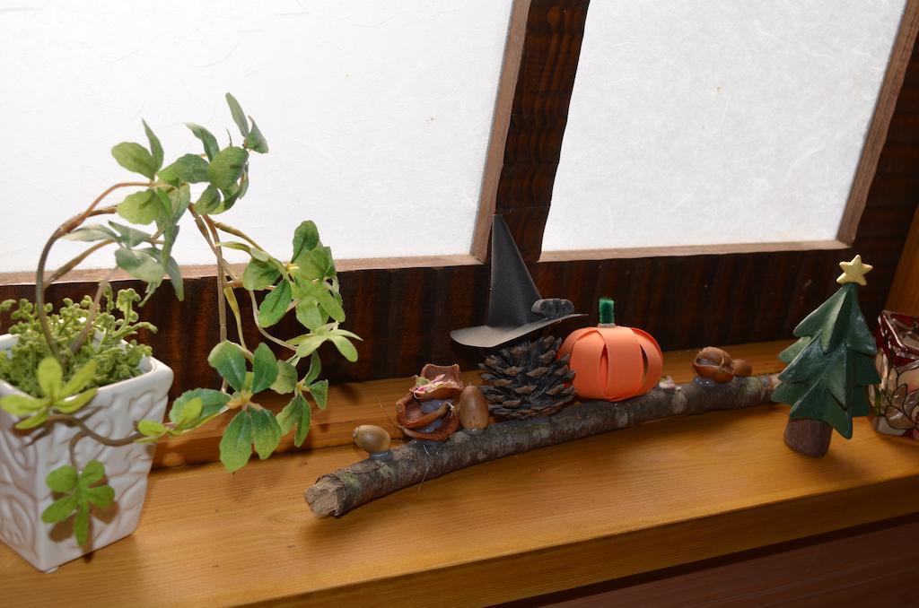 Lodge Schiheil Otari Стая снимка