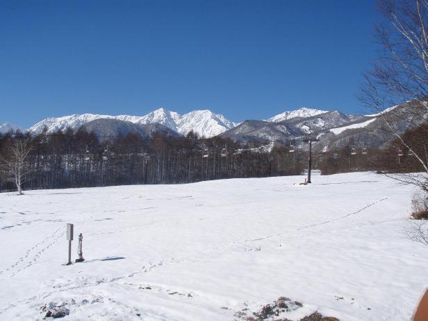 Lodge Schiheil Otari Екстериор снимка